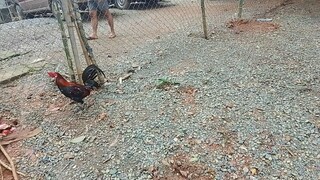 malutong pa sa chicharon