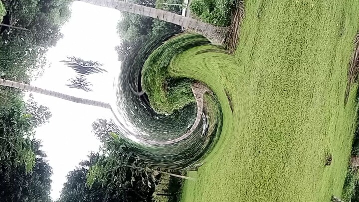 HomeServiceHairTreat