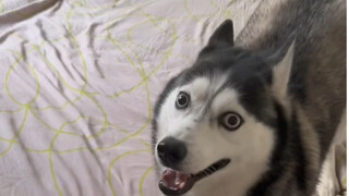 I don't know what stimulated him, but he did this again.