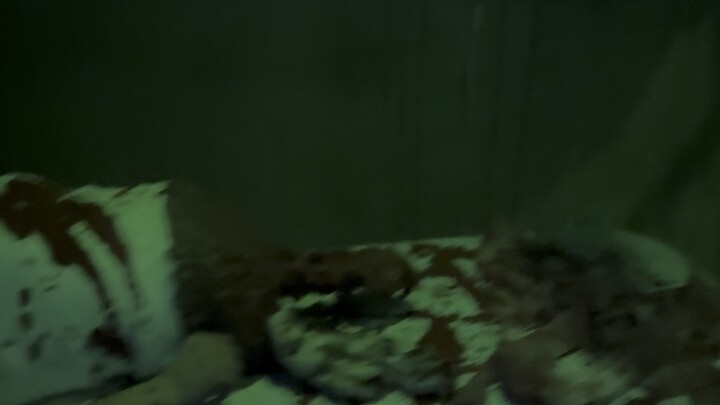 บ้านผีสิงที่น่ากลัวที่สุดเท่าที่เคยไปมา