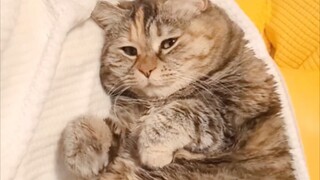 睡了一天好累，把饭端我床边谢谢