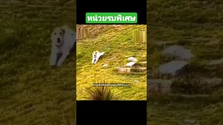 ^มีรวมคลิปเต็มชุดนี้กดดูลิงค์ด้านบนเลยจ้า^ หน่วยรบพิเศษ