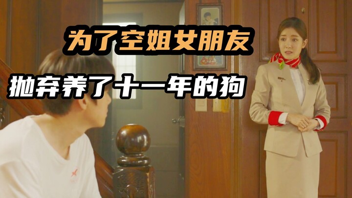 Untuk menikahi pacar pramugari, membuang anjing yang telah dipeliharanya selama 11 tahun, komedi ter