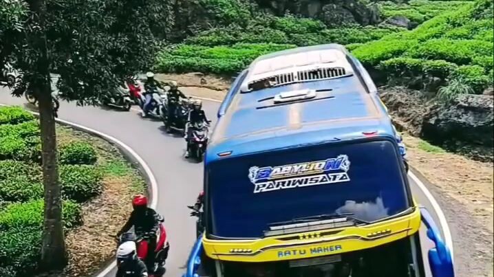 kelakuan orang pinter