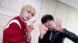 Lagu baru Fu Zhoucha! Tantangan ENHYPEN Kim Seonwoo X ZB1 Han Weichen "No Doubt"!