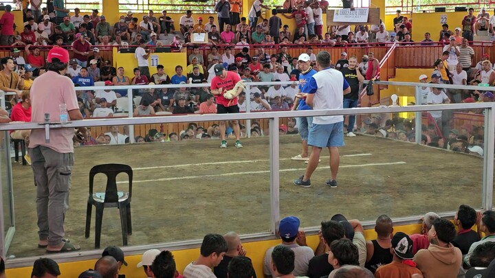 5cock offcolor LDB QCBA.   2nd fyt win