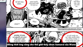 Nguồn Gốc Xuất Thân Của Zoro_ - Mối Liên Hệ Với Monkey D. Dragon p3