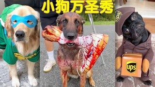 Xiu Gou's Halloween Costume Show 🎃🕯️