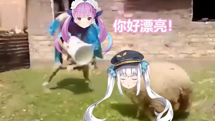 阿夸：这只软咩咩真漂亮！