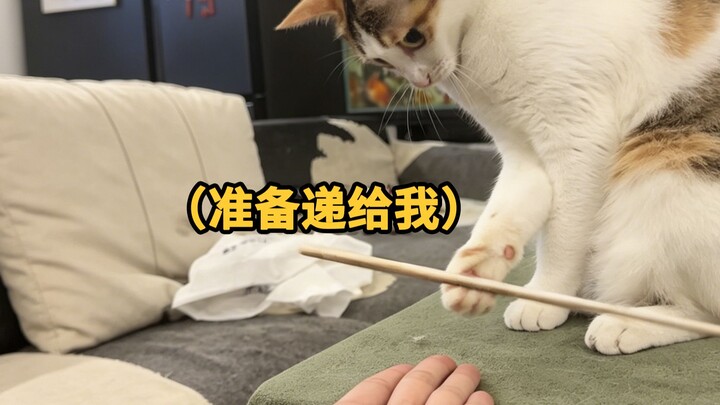 รู้สึกว่าเธอกำลังวิวัฒนาการอยู่…