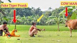 เสือปลอม VS มนุษย์วัวเล่นตลก Fake Tiger vs Man Prank Video (ตอนที่ 5) ComicaL TV
