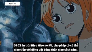 Top 10 Người Ăn Trái Ác Quỷ Từ Khi Còn Nhỏ  #28- 1