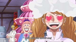 Sayang nya Ingatan Sanji Harus di Hilangkan