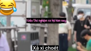 Troll người đi đường mua 3 con sói😆😆😆