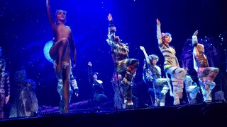 CATS Finale & Bows (St.Louis MO) 2022  Cast