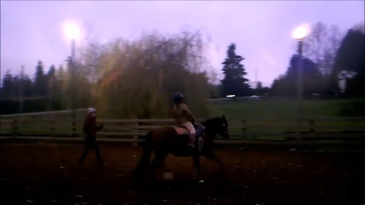 驯马和自然马术 Lunging exercises and natural horsemanship
