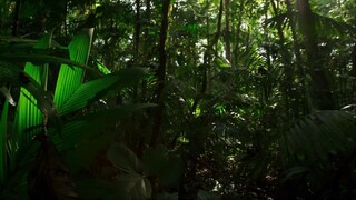 [Tập 3 - Thuyết Minh] Hành trình Trái Đất 2 - Planet Earth 2 E03