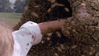 【宇哥】豆瓣8.5分，仅5千评分的冷门神作《油炸绿番茄》