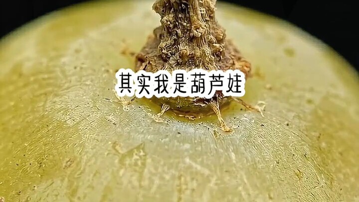 I stumbled upon an absurd post online: “Let me let you in on a secret—actually, I’m one of the Calab