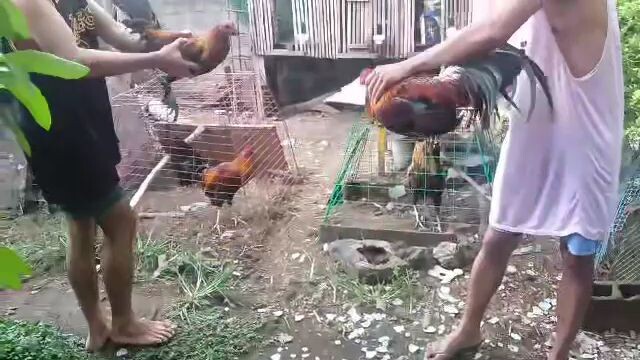 SPAR MUNA KAKATAPOS LANG MAG LUGON