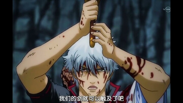Tổng hợp video Tik Tok Gintama - Linh Hồn Bạc
