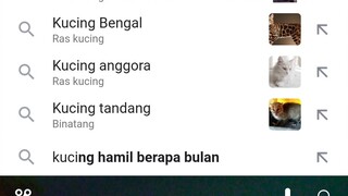 silahkan di coba ..ketik kucing di google