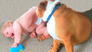 Best Video of Cute Babies and Pets - Funny Baby and Pet