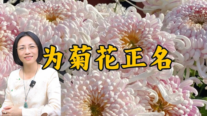 Hoa cúc vốn là một trong “Tứ quân tử” của loài hoa, đồng thời là một trong Mười Loài Hoa Nổi Tiếng c