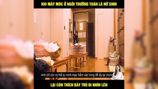 5 nam sinh vào ngôi trường toàn là gái và cái kết không tưởng