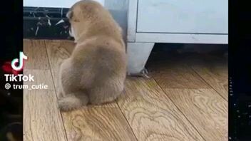 Khi bạn dỗi, kiểu....