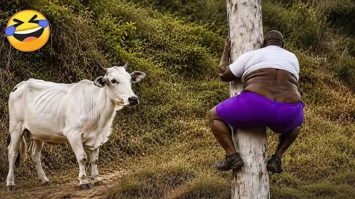 Try Not To Laugh😂Best Funniest Moments Ever 2026 compilation( Epics fail,memes, pranks)