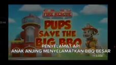 paw patrol Musim 11 Episode 18 Bahasa indonesia