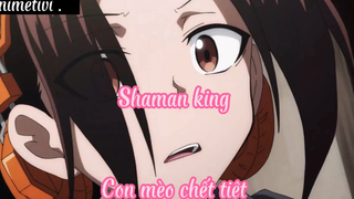 Shaman king _Tập 45 Con mèo chết tiệt