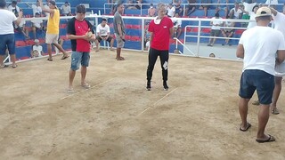www