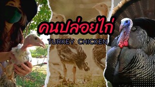 คนปล่อยไก่ (turkey chicken) Ep.280