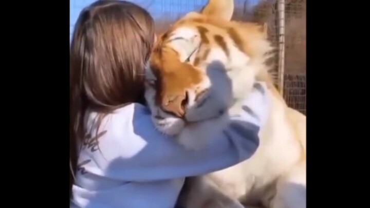 Cute little... animals—who wouldn't love them?