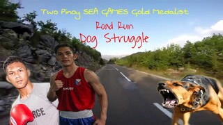 Road Run, Dog Struggle
