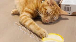 ถ้าหากเพียงแต่...ฉัน...ช้า...พอ...