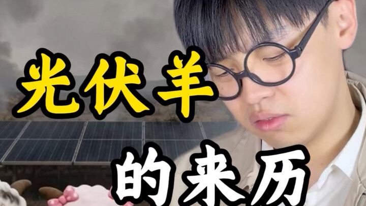 The Origin of Photovoltaic Sheep