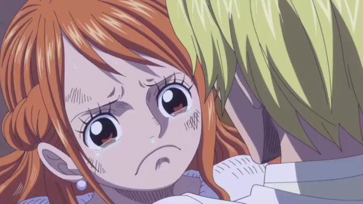 No one could stand Nami's expression, let alone Sanji!