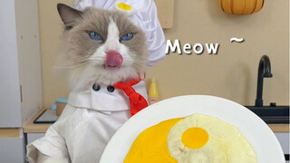 🐾Puff's kitchen is a work of art! It's simply amazing