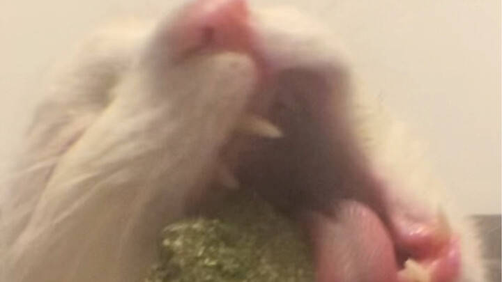 Ăn uống không kiềm chế