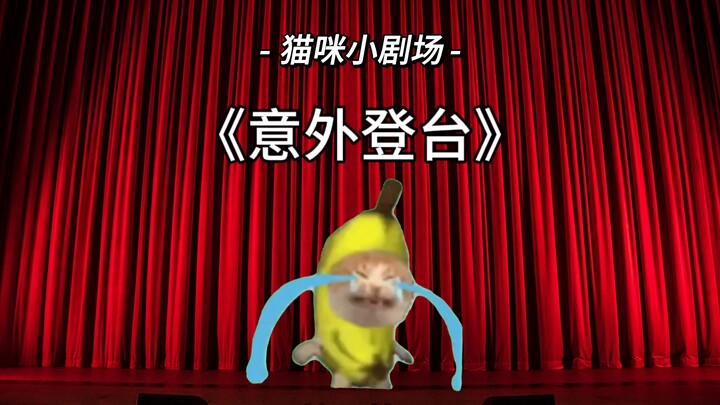 الدمية تُظهر ذكاءً صغيرًا، والقطّ الموزي يصعد إلى المسرح بشكل مفاجئ!