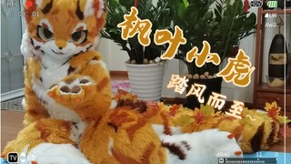【زي حيوان】 ظهور النمر الصغير ذو أوراق القيقب! دافئ يدخل قلبك~