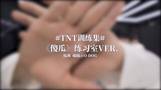 【فريق شباب العصر】2021.12.19｜نسخة استوديو التدريب من "الأحمق"