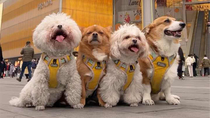 Testing Honey’s Recognition in a Bustling Downtown Area