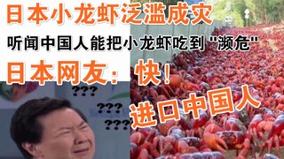日本小龙虾泛滥成灾，听闻中国人能把小龙虾吃到 "濒危"！日本网友：快！进口中国人