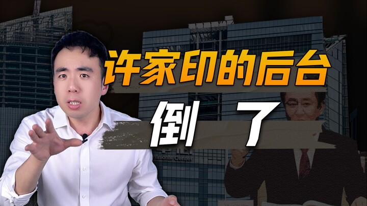 Don’t let Xu Jiayin’s accomplices escape!