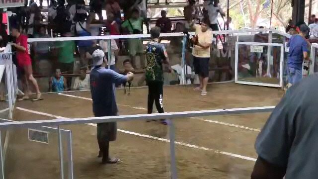 2nd fight 2hits ulutan loss pachampion
