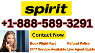 Quick® List of Official Turkish Airline𝖘™️REservation™️ Contact Numbers in the usa : the Complete D